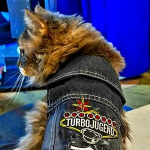 Meet your Posher, Jody